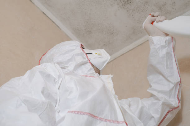 Best HVAC Mold Remediation in Republic, WA